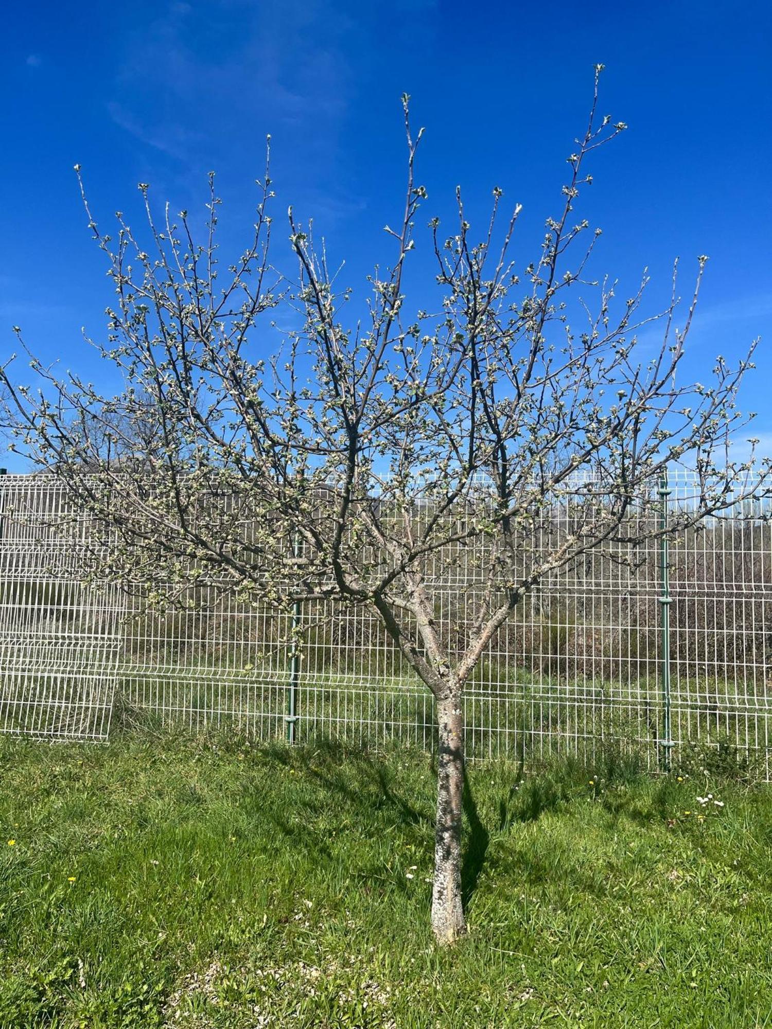 Casas Rurales Cuatro Valles Naredo de Fenar Zewnętrze zdjęcie
