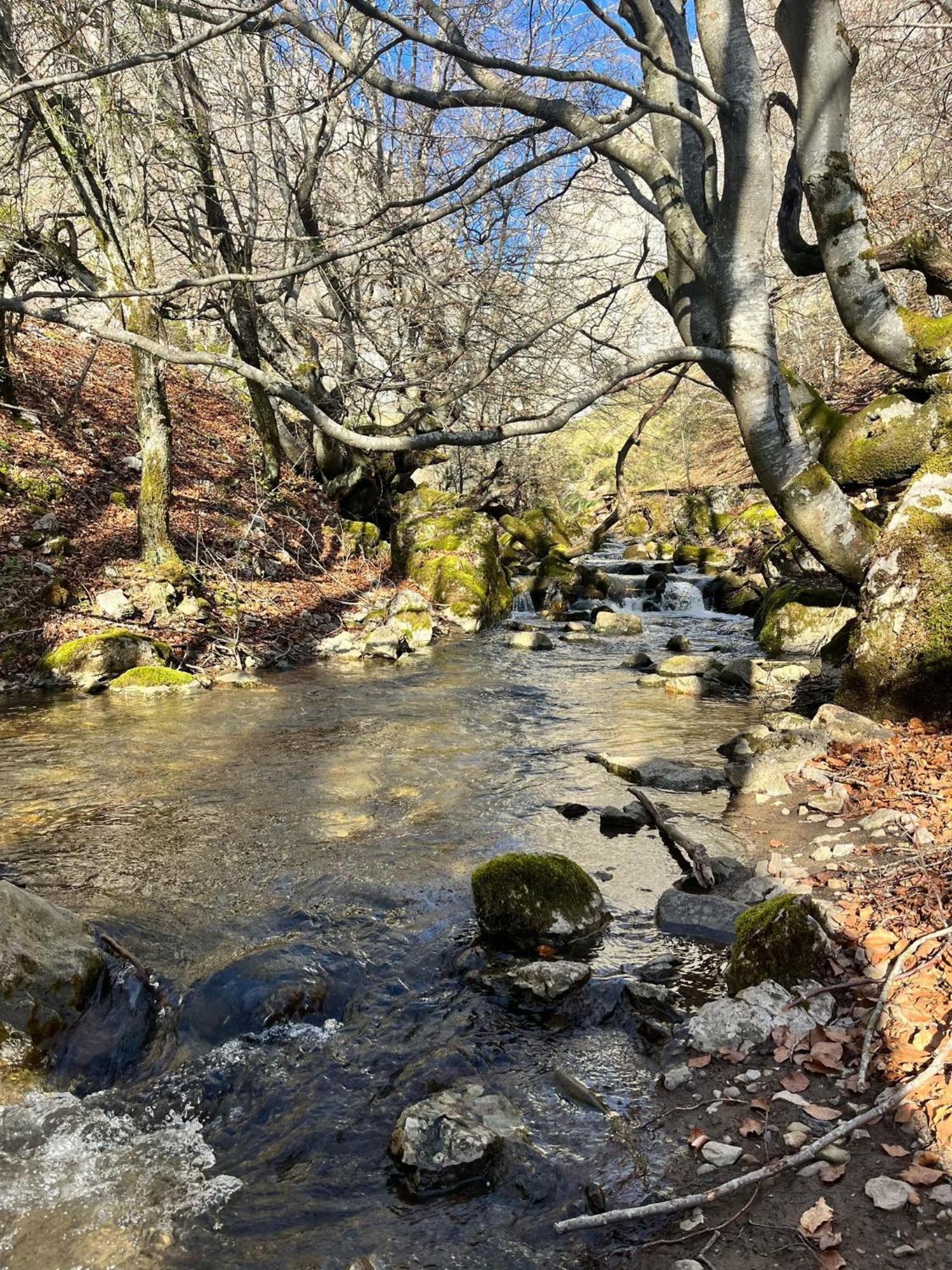 Casas Rurales Cuatro Valles Naredo de Fenar Zewnętrze zdjęcie
