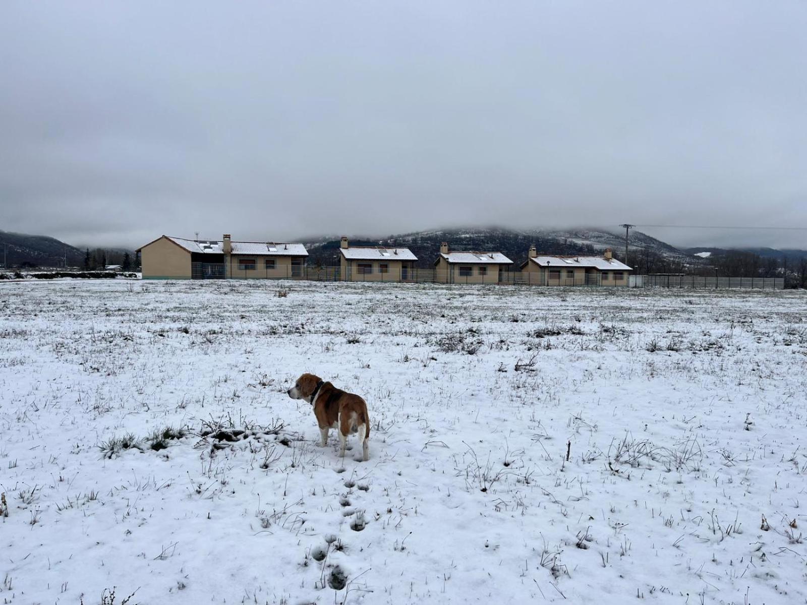 Casas Rurales Cuatro Valles Naredo de Fenar Zewnętrze zdjęcie